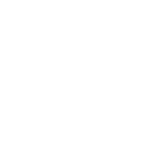 Chimney Services icon black