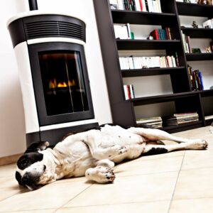 black and white dog laying in from of a modern gas stove